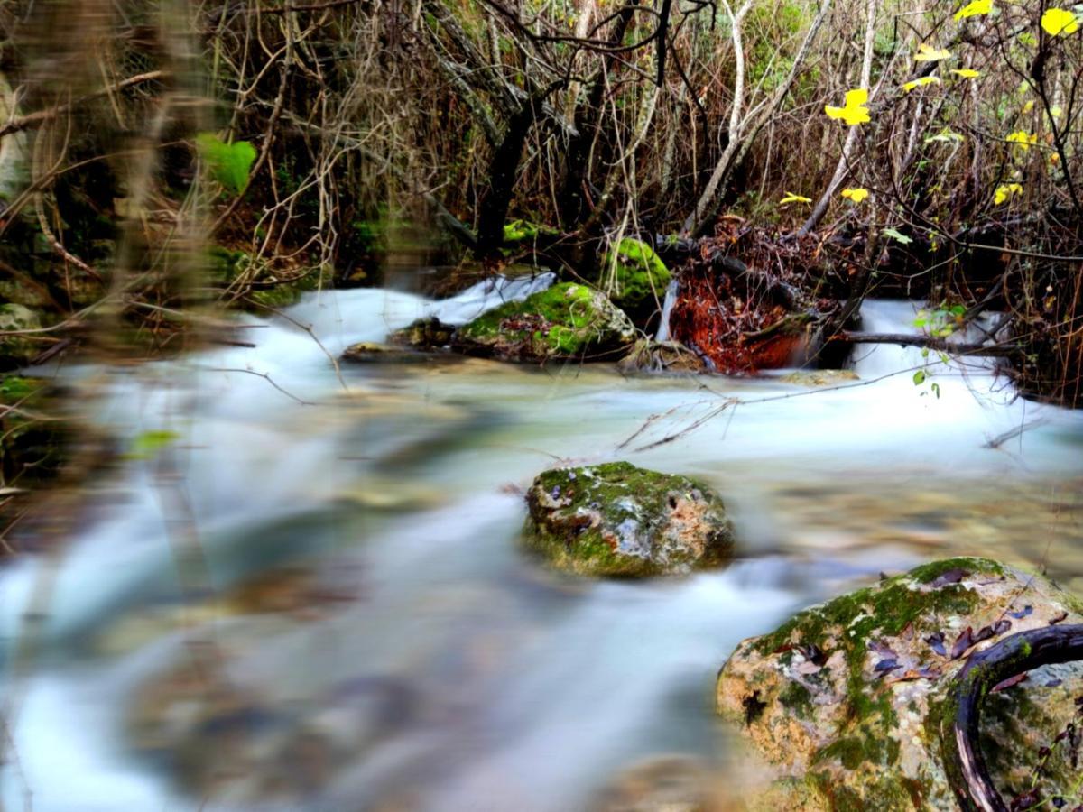 La Casa Del Naturalista El Bosque Exteriér fotografie