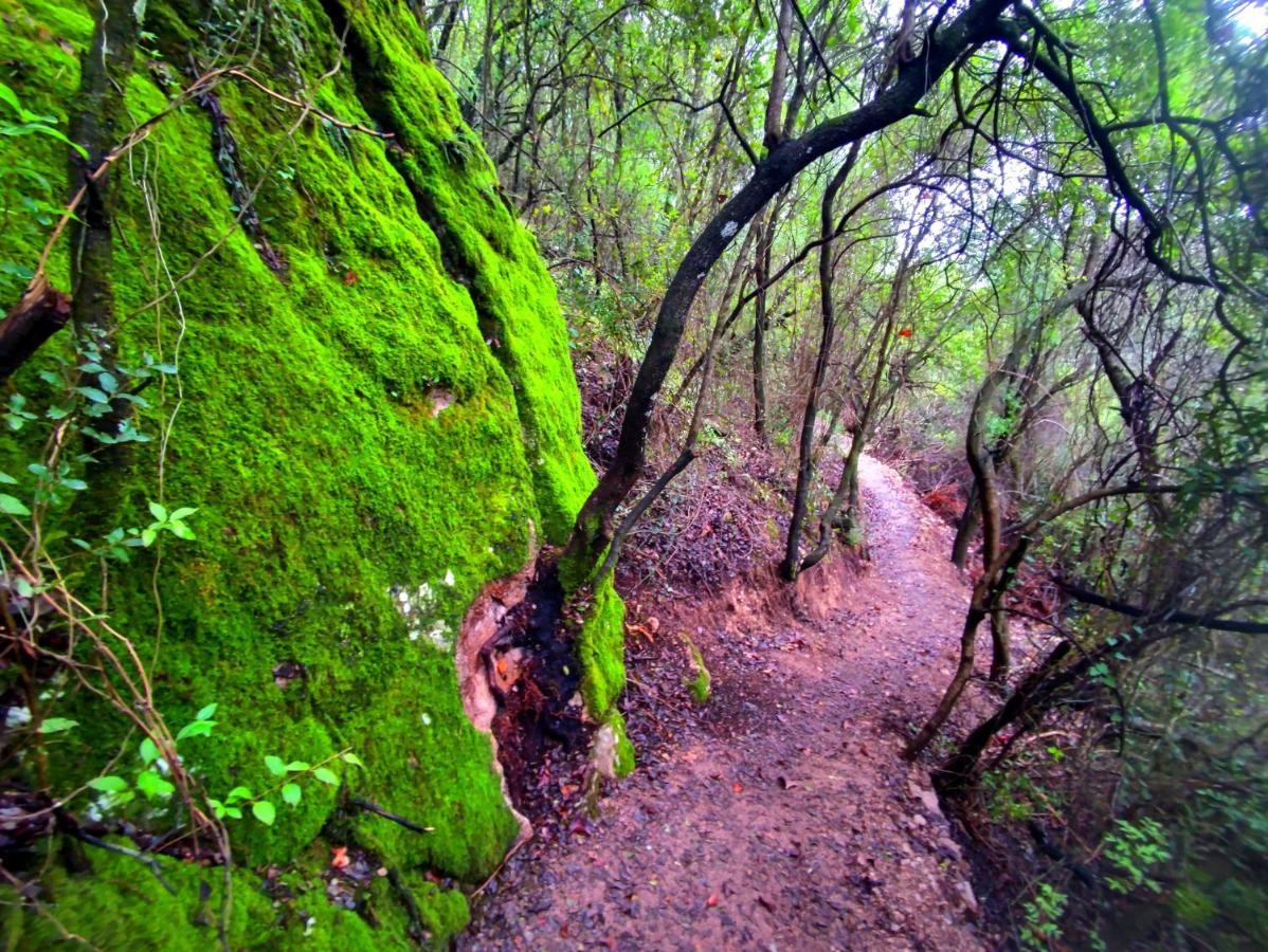 La Casa Del Naturalista El Bosque Exteriér fotografie