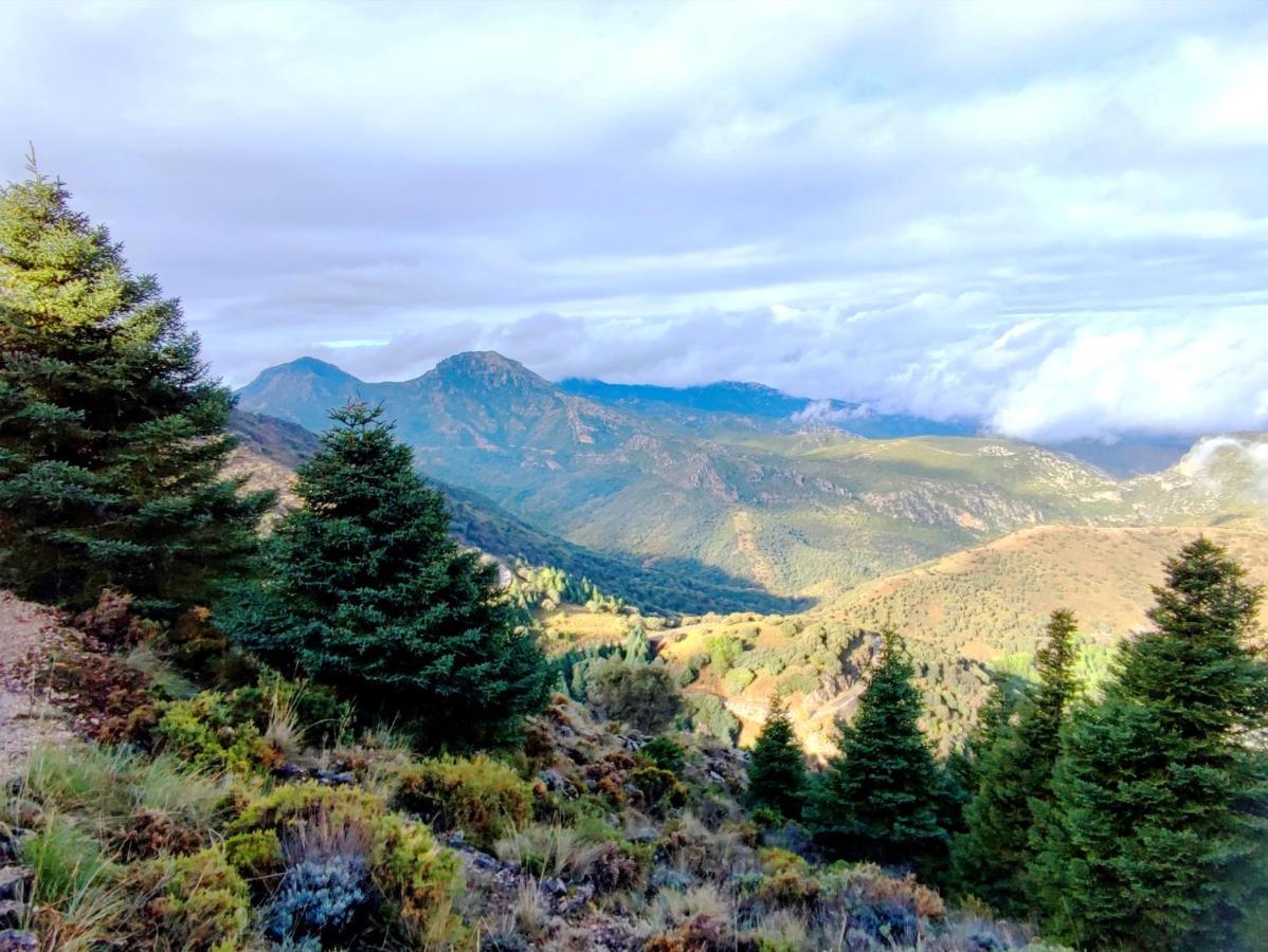 La Casa Del Naturalista El Bosque Exteriér fotografie