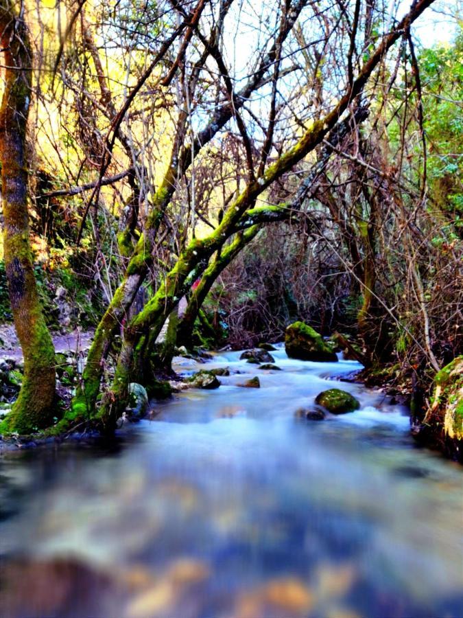 La Casa Del Naturalista El Bosque Exteriér fotografie