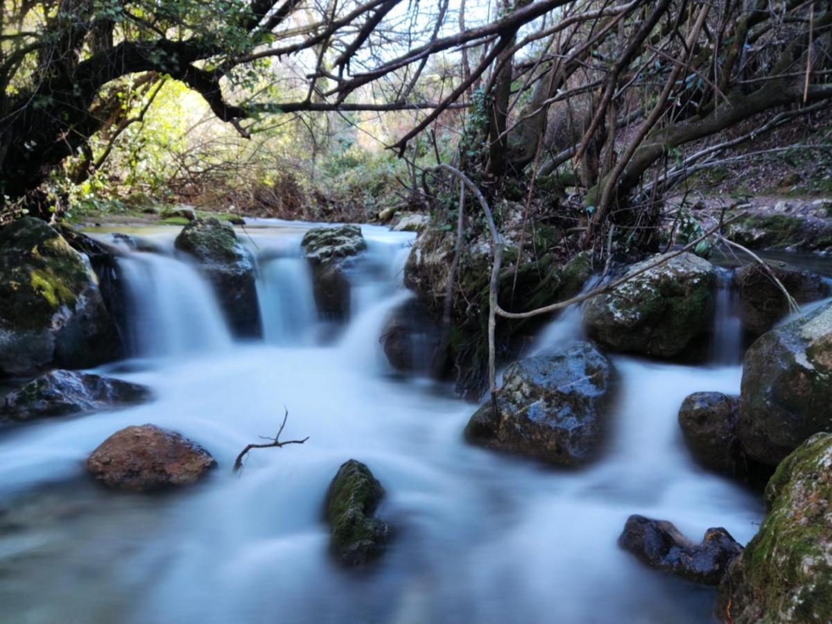 La Casa Del Naturalista El Bosque Exteriér fotografie