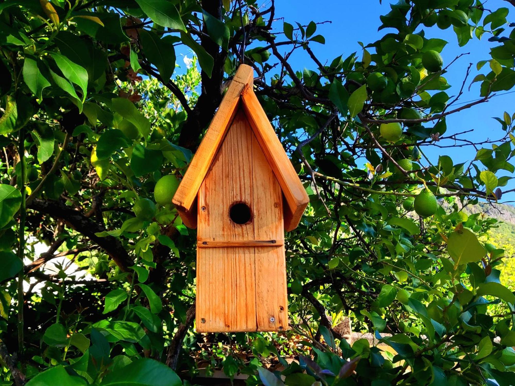 La Casa Del Naturalista El Bosque Exteriér fotografie
